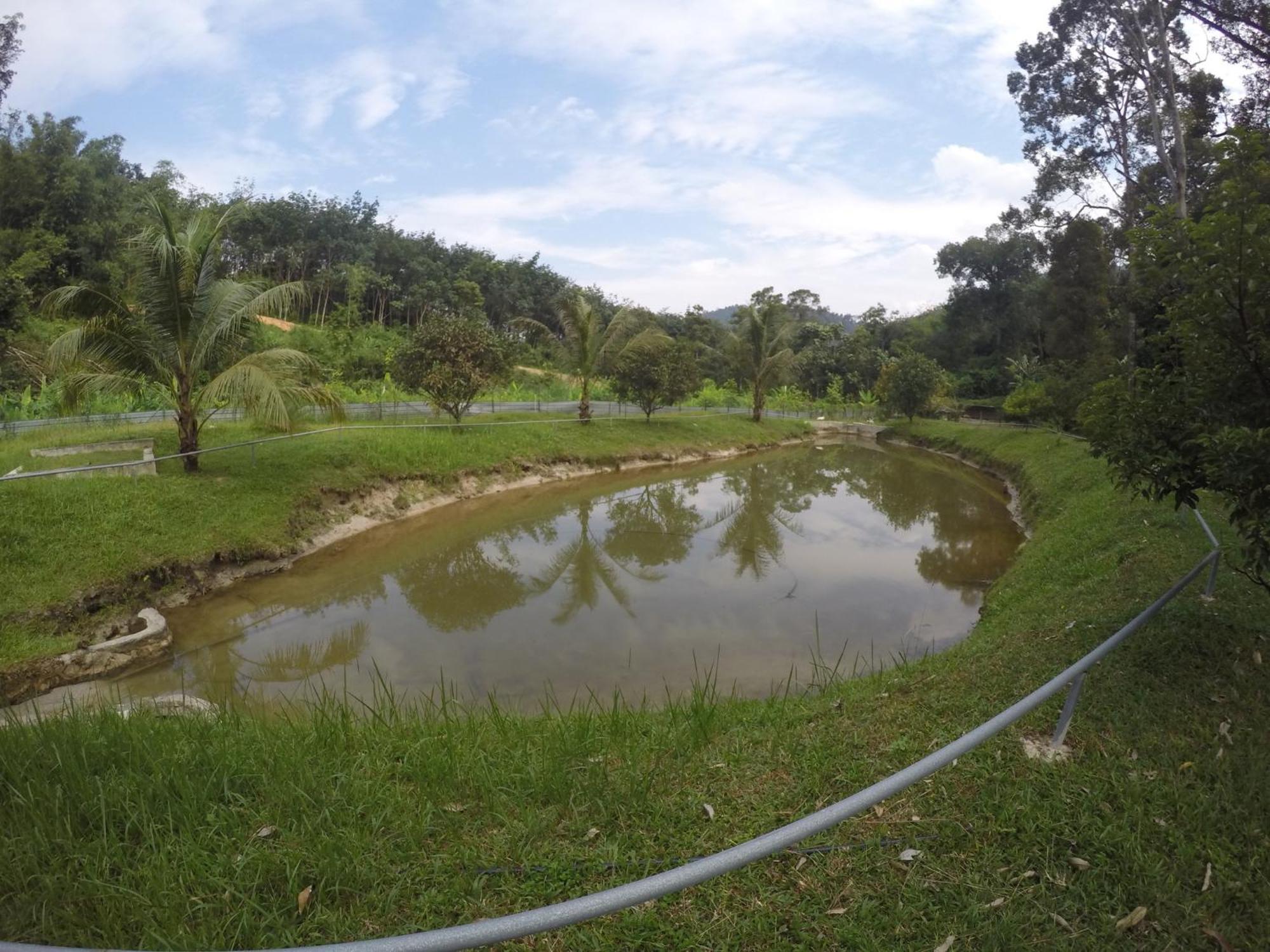 Santai De Lui Resorts Kampong Masjid  Ngoại thất bức ảnh